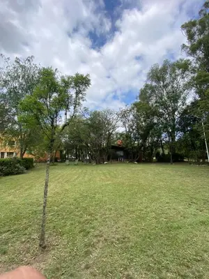 a tree in the middle of a field at Cabañas Altos Del Parque in Villa Ciudad Parque