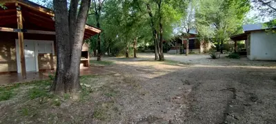 an empty yard next to a house with a tree at Cabañas Calimocho in Santa Rosa de Calamuchita