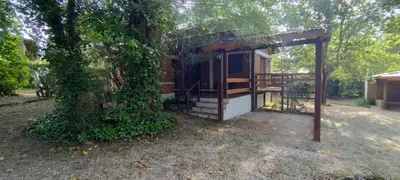 a small cabin with a tree at Cabañas Calimocho in Santa Rosa de Calamuchita
