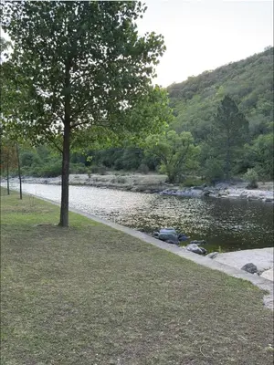 a tree in a park next to a river at Playas Doradas in Villa Anizacate