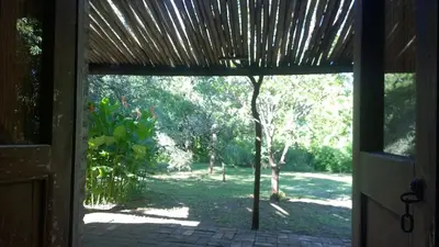 an open door to a yard with a tree at Tierra linda in Las Chacras (La Paz)