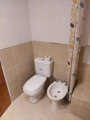 a bathroom with a toilet and a shower curtain at EnlodelLuly in Villa Carlos Paz