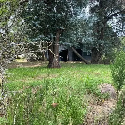 Beautiful steelframe house