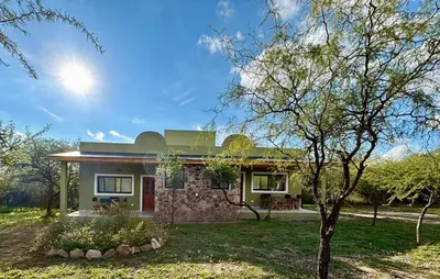 a green house with a tree in front of it at La Corrida hospedaje in San Javier