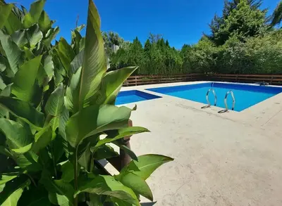 a pool with a plant in front of it at Complejo Don Emilio in Los Reartes