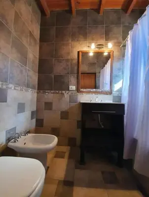 a bathroom with a sink and a toilet and a mirror at Duplex Las Violetas in Merlo