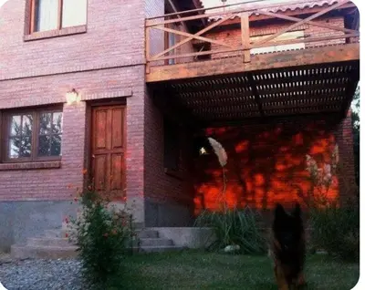 a dog standing in front of a brick house at Duplex Las Violetas in Merlo