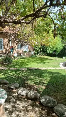 a group of rocks in a yard with a tree at CASA TODA EN PLANTA BAJA CON PARQUE y PILETA INDIVIDUAL SOBRE ASFALTO A POCAS CUADRAS DEL CENTRO DE MERLO in Merlo