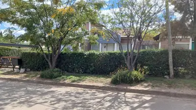 a hedge in front of a house with a bench at CASA TODA EN PLANTA BAJA CON PARQUE y PILETA INDIVIDUAL SOBRE ASFALTO A POCAS CUADRAS DEL CENTRO DE MERLO in Merlo