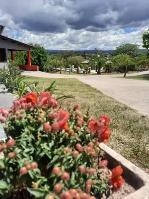 a bush with red flowers in a park at Cabañas Tanti in Tanti
