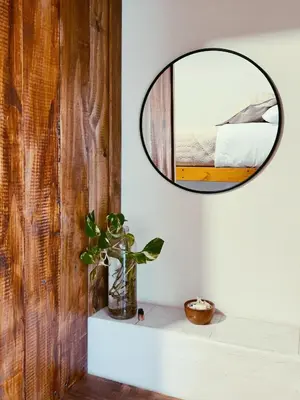 a mirror on a wall above a shelf with a plant at Hostel céntrico Casa Revol in Cordoba