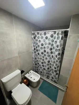 a bathroom with a toilet and a shower at Alberdi Urbano in Cordoba