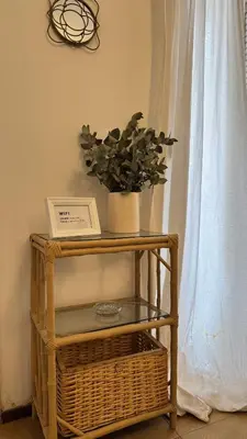 a plant sitting on top of a table with a basket at Ayacucho loft in Cordoba