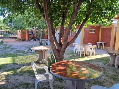 a table and chairs under a tree in a yard at Hospedaje Pringles in Santa Rosa del Conlara