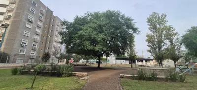 a tree in a park in front of a building at Departamento en Complejo Villa Sol in Cordoba