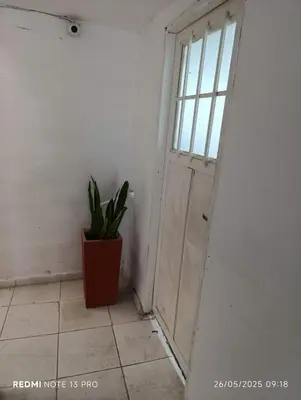 a door in a room with a potted plant at Violeta in Cordoba