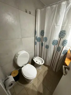 a bathroom with a toilet and a sink and a shower curtain at Monoambiente en el centro de Córdoba in Cordoba