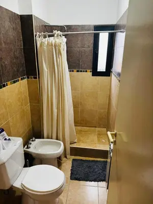 a bathroom with a toilet sink and a shower at Departamento Carlos Paz in Villa Carlos Paz