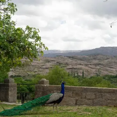 Estancia Santa María de las Casas Viejas