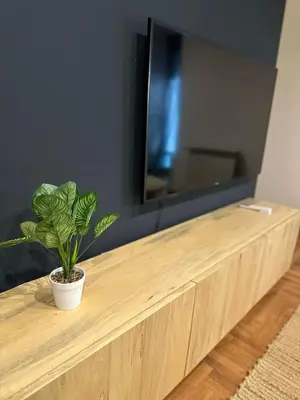 a potted plant sitting on top of a wooden entertainment center at Modern apartment - Nueva Córdoba in Cordoba