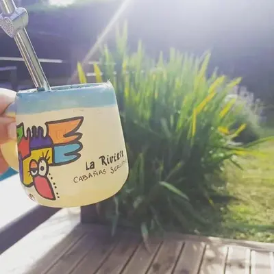 a cup with a chicken on it next to a plant at la riviere in Alta Gracia