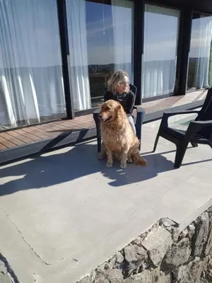 a woman sitting on a bench with a brown dog at Suite del Alba in La Estancia