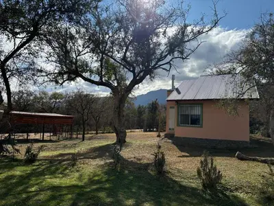 a small house with a tree in a field at Cabañas La Ramadita in La Ramada