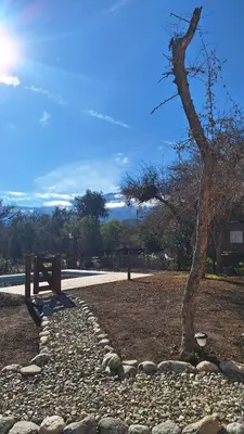a tree and a bench in a park at Cabañas La Ramadita in La Ramada