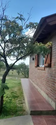a brick building with a tree in front of it at Cabañas Mini Tinkuy in Cortaderas
