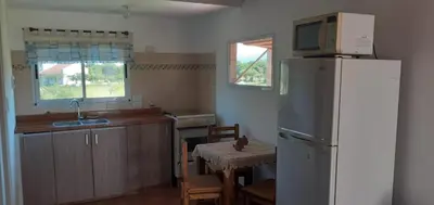 a kitchen with a refrigerator and a table with a microwave at Cabañas Mini Tinkuy in Cortaderas