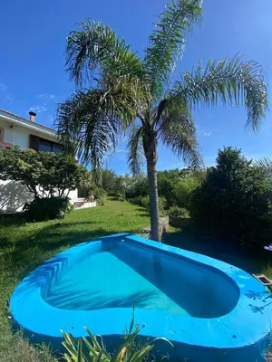 a blue swimming pool in a yard with a palm tree at Casa Panoramica Maria Ines in Villa Carlos Paz