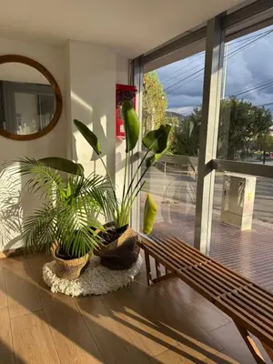 a bench and plants in a room with a window at ALOJATE PREMIUM VILLA CARL0S PAZ -Liniers in Villa Carlos Paz