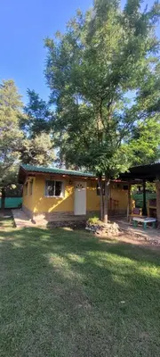 a yellow house with a tree in front of it at Cabaña Hakuna matata in Santa Rosa de Calamuchita