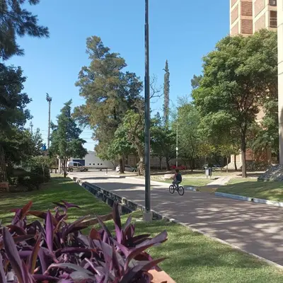 a person riding a bike in a park at Apartment in the City of Cordoba for 4 people and parking in Cordoba