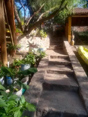 a stone walkway in a garden with plants at Cabañas aguaribay in Villa Parque Siquiman
