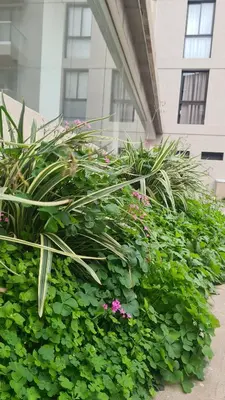a group of plants and flowers in front of a building at ALLEGRA Lake Towers - Nuevo y moderno! Exc ubicación -Lo vas a amar in Villa Carlos Paz