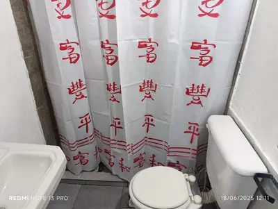 a bathroom with a toilet and a shower curtain with asian writing at Soles in Cordoba