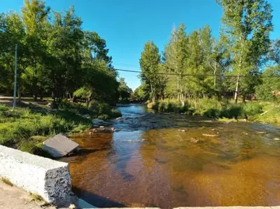 a river with brown water and trees on the side at APART HOTEl ACUARELA in Mina Clavero