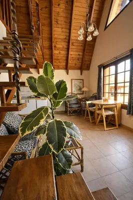 a plant in the middle of a room at Chalet Alpino en las Sierras in Villa del Dique