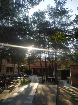 a courtyard with tables and chairs and trees at Ayres del Bosque in Merlo