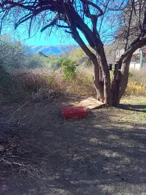 a red bench under a tree in a field at Lo de iaia in Carpintería