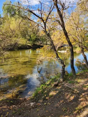 a river with trees on the side of it at Rio Sereno in Santa Rosa de Calamuchita