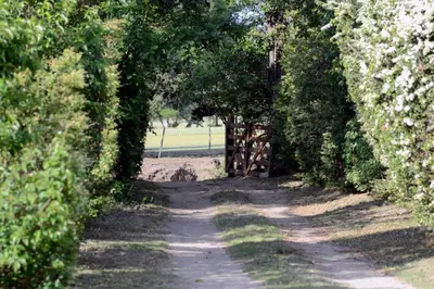 Gallery image of Tesarai in Las Rabonas