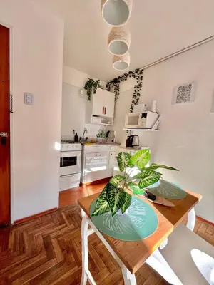 a kitchen with a table with a plant on it at Refugio urbano frente a Sanatorio Allende in Cordoba