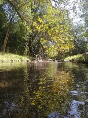 a body of water with trees in the background at Chalet del arroyo in La Porteña