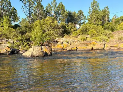 a river with rocks in the water and trees at Cabañas Mate de Luna in Santa Rosa de Calamuchita