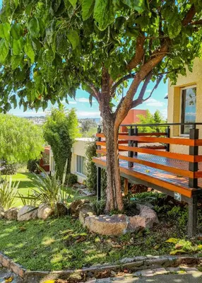 a wooden bench sitting next to a tree at Cabañas Quebrada del Lobito in Villa Santa Cruz del Lago