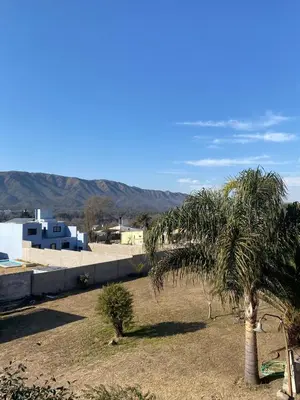 a palm tree in a field next to a building at Complejo Caeiro in Bialet Massé