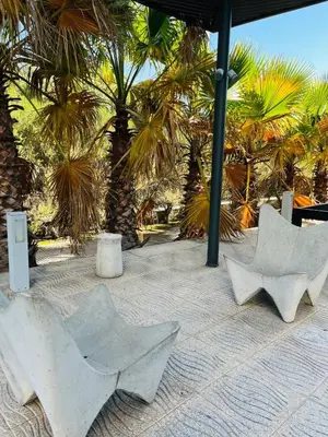 a group of chairs sitting on a patio with palm trees at Cardinales in Cordoba