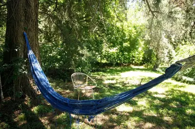 a blue hammock sitting in the grass next to a tree at Apartamento por día Cuesta Blanca in Cuesta Blanca